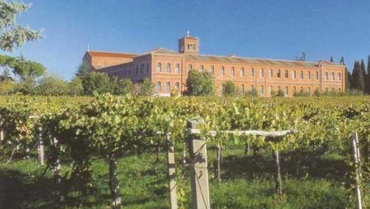A Casa Di Marco Guesthouse - Apt Di Ciampino E Stazione Per Roma Marino Kültér fotó